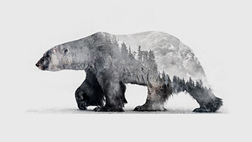 Betrete die arktische Welt mit dem Hintergrundbild Eisbär 2. Du kannst es kostenlos auf deinem Computer benutzen und mit anderen Eisbären-Fans teilen.