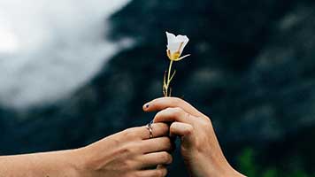 We know that sometimes words don't come easy, that's why you should say everything with a flower for her! Or even easier, just sent her the Flower for Her theme and she'll know exactly how you feel about her!