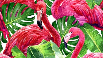 Fühl die tropische Brise mit dem farbigen Thema Flamingovogel!es ist ein lustiges, nettes und rosa Thema, ähnlich den Flamingovögeln! Stelle es kostenlos auf deiner Startseite ein und genieße diese netten Vögel!
