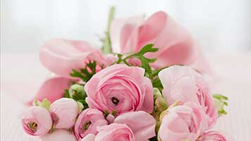 If you like pink roses, get this free pink roses wallpaper on your computer. Pink Roses are the best virtual gift you could send to your loved ones! Why not have them on your homepage? They come with their own color set, too!