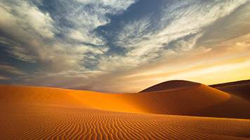 If you can't climb the desert dunes, we offer a solution! Get this free Dunes wallpaper on your computer and enjoy the imposing beauty of the desert. The Dunes wallpaper works best with cold color sets!