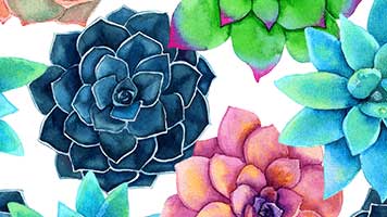 The world would be a greener place if we have more plants! Set this Plants theme and support the ecologists movement! Plus these plants are super calming, just watch and see!