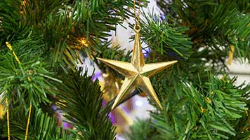 Uma estrela dourada aqui, um globo bonito lá e a árvore de Natal está pronta! Você já terminou o seu, certo? Se não, podemos ter algumas idéias de ornamentação para você, definir o papel de parede Golden Star em sua página inicial e começar a decorar!
