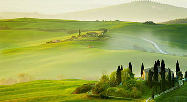 No time for vacation? No worries, we'll take you on a trip around the beautiful landscapes of Tuscany! Lose yourself into the green pastures of the Tuscany wallpaper!