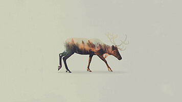 If you like the Winter Stag wallpaper you can easily get it for free on your computer, or you can just pick one of the winter animals wallpaper from our catalog.