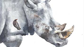 If you're a water color fan, just set this Rhino theme on your homepage! The Rhino theme comes with it's own color set, plus it's just one click away!