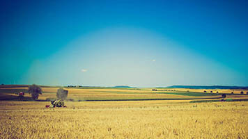 Get ready for some Autumn Country Crops! Feel the freshness of the riped fruits with the Country Crops theme.
