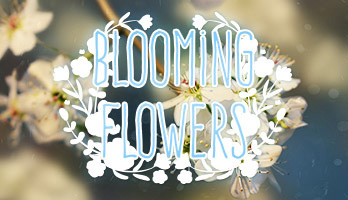 Spring has come and the fields and trees are filled with blooming flowers! Celebrate the coming of Spring with this beautiful Blooming Flowers parallax wallpaper.